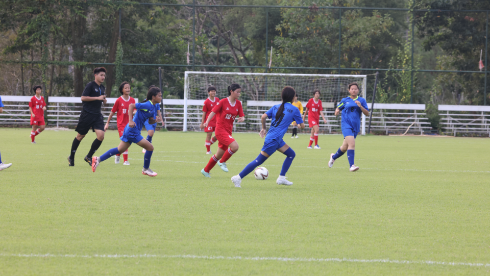 tant, 精彩绝伦的, zJAxi tant, 精彩绝伦的, zJAxi